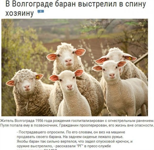 tak-vypem-zhe-za-to