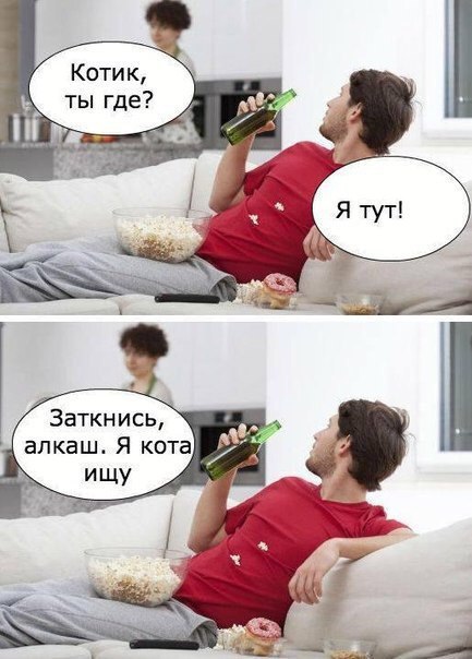 котик ебаный алкаш