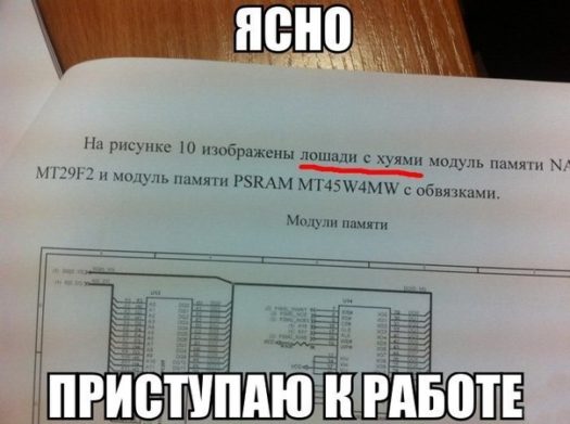 лошади с хуями