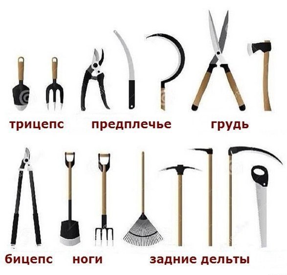 в пизду зал