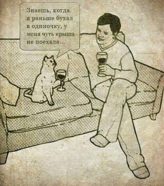 бухаем с котом