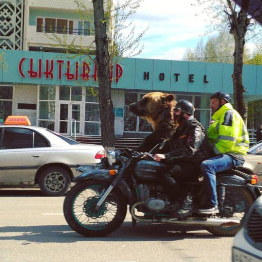 волки байкеры