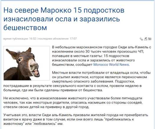 в марокко изнасиловали осла