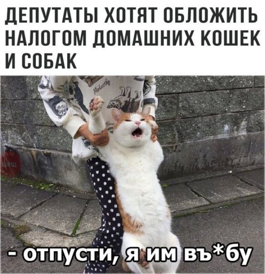налог на домашнее животное