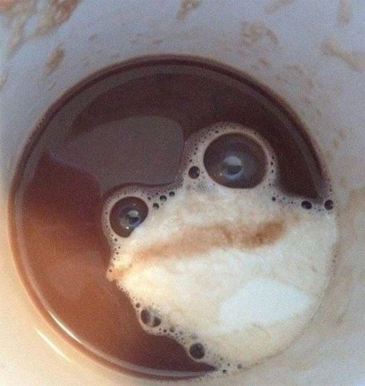песдато утром