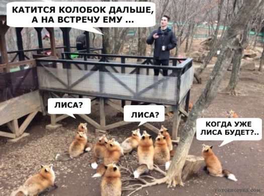 лисы слушают сказку