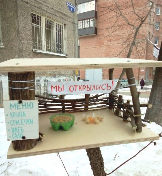 идея кормушка для птиц
