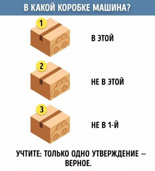 пизда мозгу