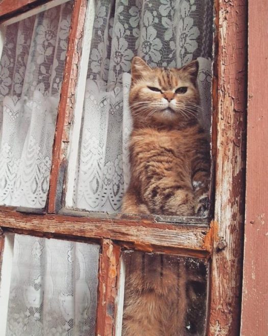 смотрит на тебя как на говно