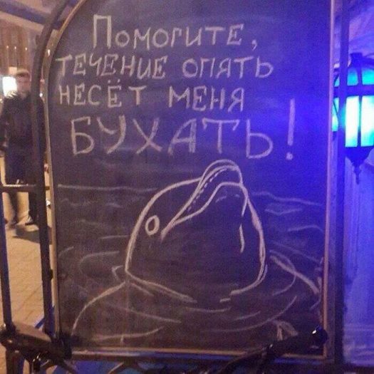 пятничный дельфин