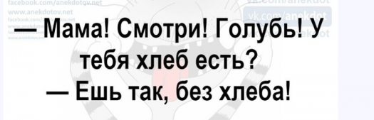 Голубь с хлебом