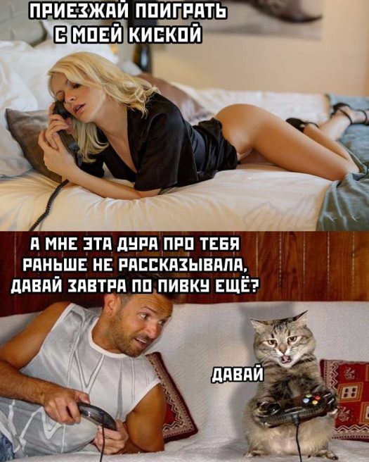 играть с котом на приставке