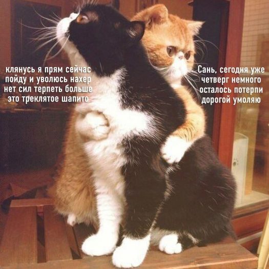 не хочу на работу